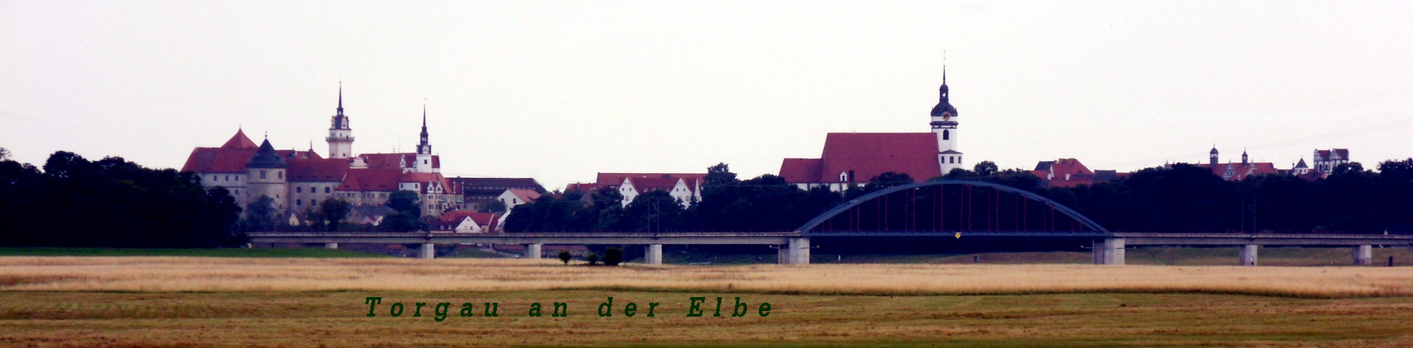 skyline von Torgau